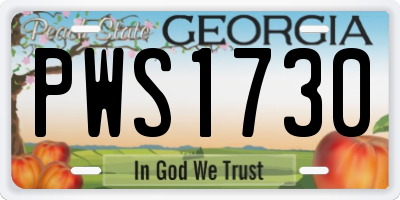 GA license plate PWS1730