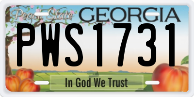 GA license plate PWS1731