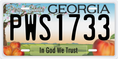 GA license plate PWS1733