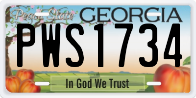 GA license plate PWS1734