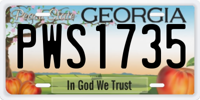 GA license plate PWS1735