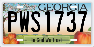 GA license plate PWS1737