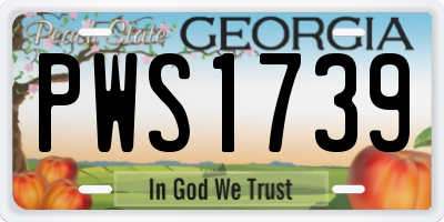 GA license plate PWS1739