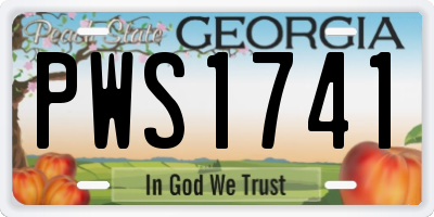 GA license plate PWS1741