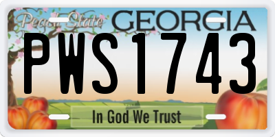 GA license plate PWS1743