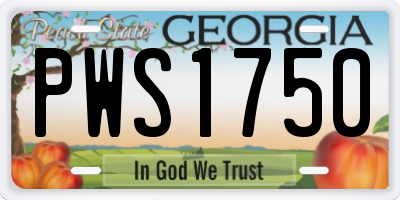 GA license plate PWS1750