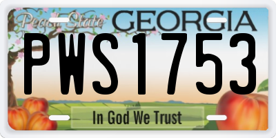 GA license plate PWS1753