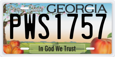 GA license plate PWS1757