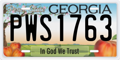GA license plate PWS1763