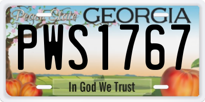 GA license plate PWS1767