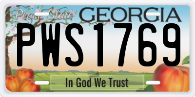GA license plate PWS1769