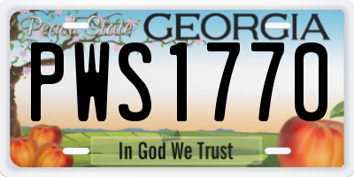 GA license plate PWS1770