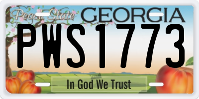 GA license plate PWS1773