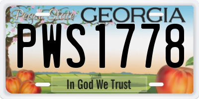 GA license plate PWS1778