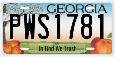 GA license plate PWS1781