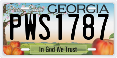 GA license plate PWS1787