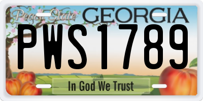 GA license plate PWS1789