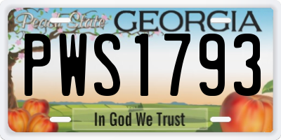 GA license plate PWS1793