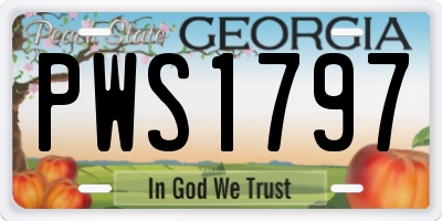 GA license plate PWS1797