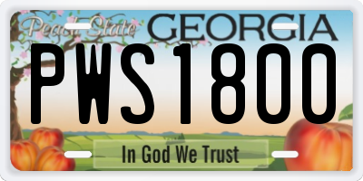 GA license plate PWS1800