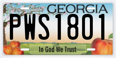 GA license plate PWS1801