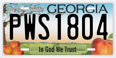 GA license plate PWS1804