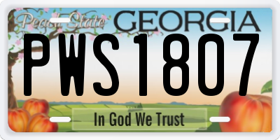 GA license plate PWS1807