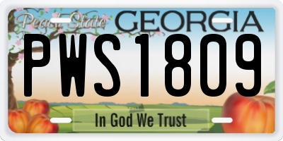 GA license plate PWS1809