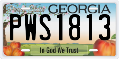 GA license plate PWS1813