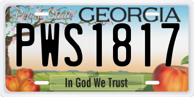 GA license plate PWS1817
