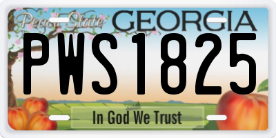 GA license plate PWS1825