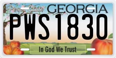 GA license plate PWS1830