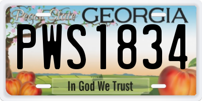 GA license plate PWS1834