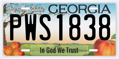 GA license plate PWS1838