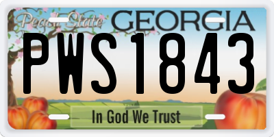 GA license plate PWS1843