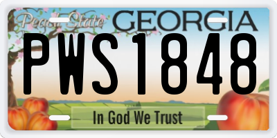 GA license plate PWS1848