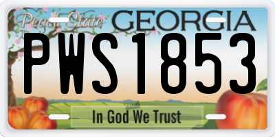 GA license plate PWS1853