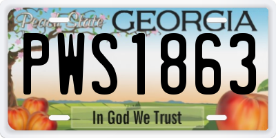 GA license plate PWS1863