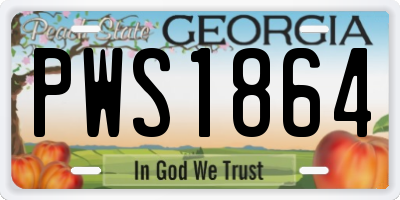 GA license plate PWS1864