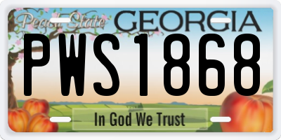 GA license plate PWS1868