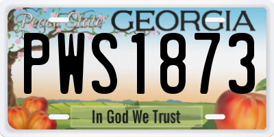 GA license plate PWS1873