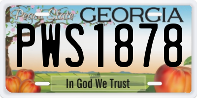 GA license plate PWS1878