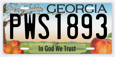 GA license plate PWS1893