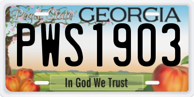 GA license plate PWS1903
