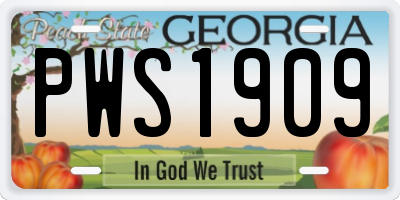 GA license plate PWS1909