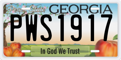 GA license plate PWS1917