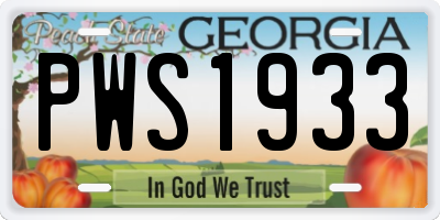 GA license plate PWS1933