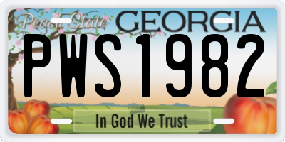 GA license plate PWS1982