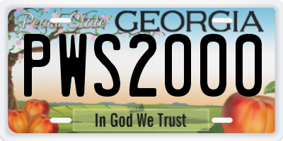 GA license plate PWS2000