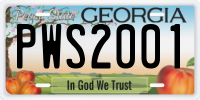 GA license plate PWS2001